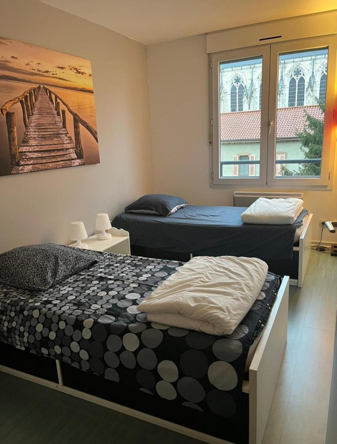 115 Rue Vauban Apartman Lyon Kültér fotó