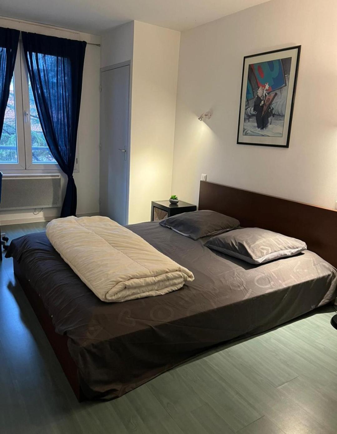 115 Rue Vauban Apartman Lyon Kültér fotó